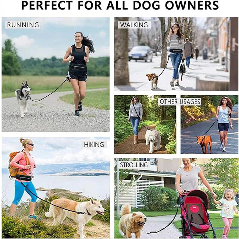 Chic Pet Pouch Leash