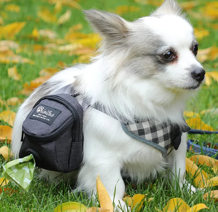 Chic Pet Travel Tote