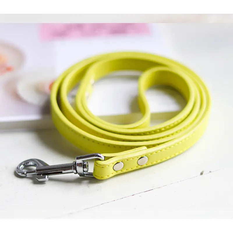 Colorful Leather Pet Collar