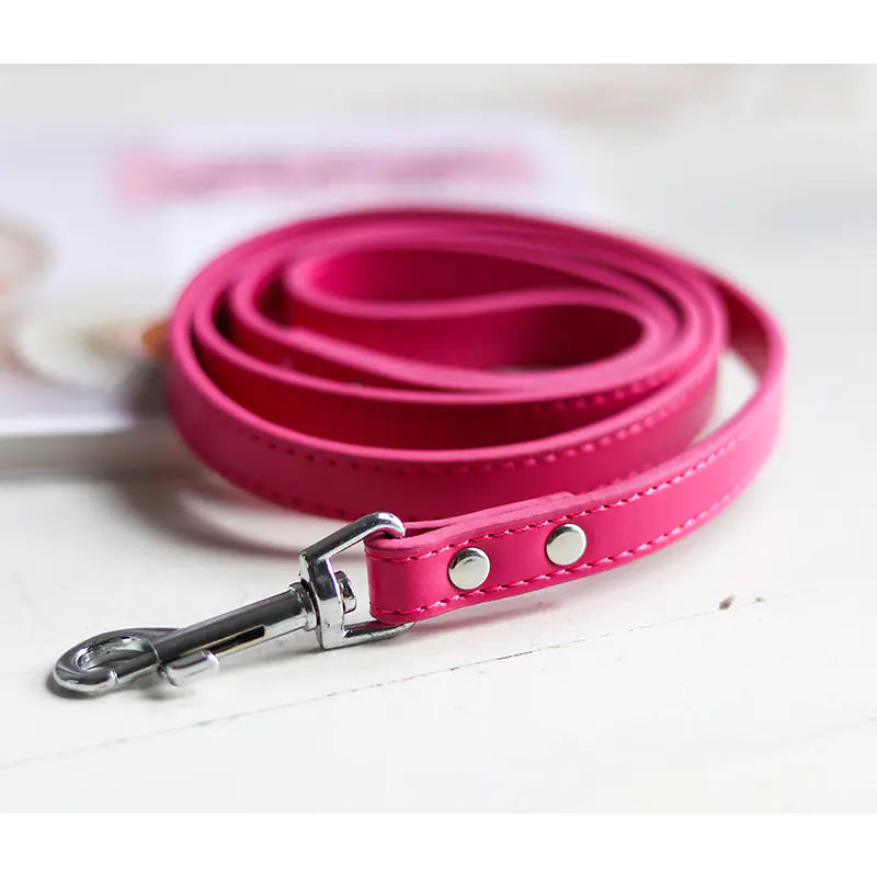 Colorful Leather Pet Collar