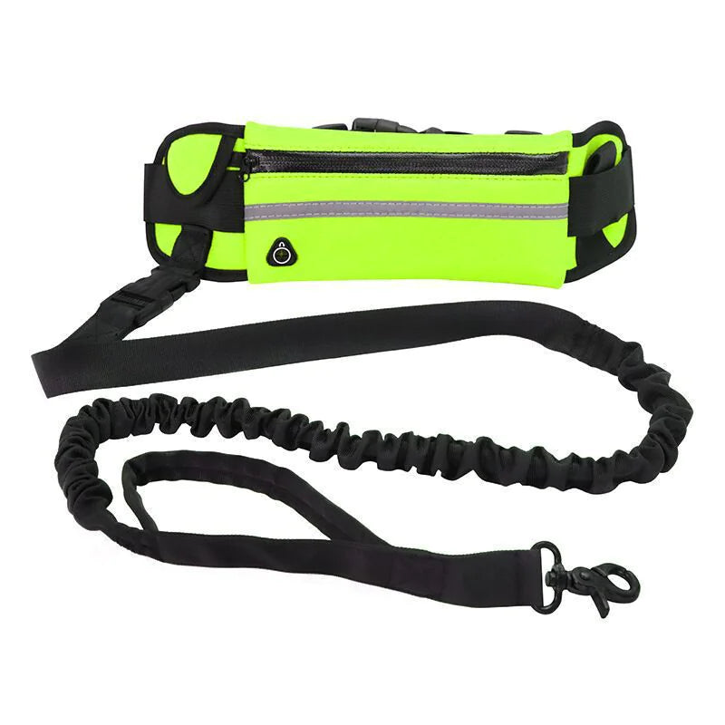 Chic Pet Pouch Leash