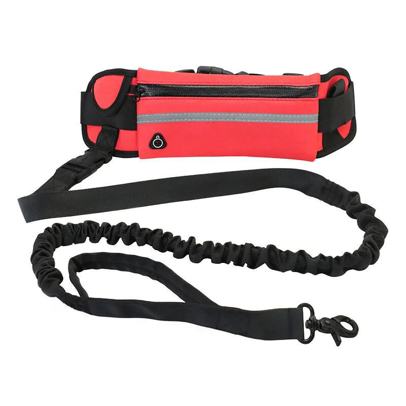 Chic Pet Pouch Leash