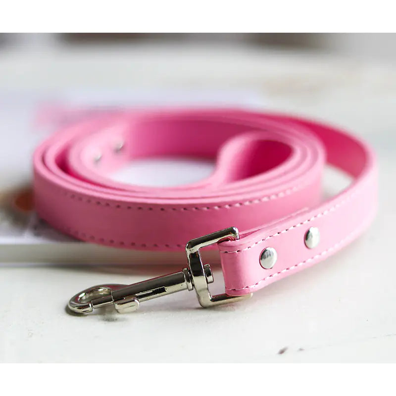 Colorful Leather Pet Collar