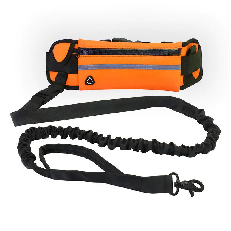 Chic Pet Pouch Leash