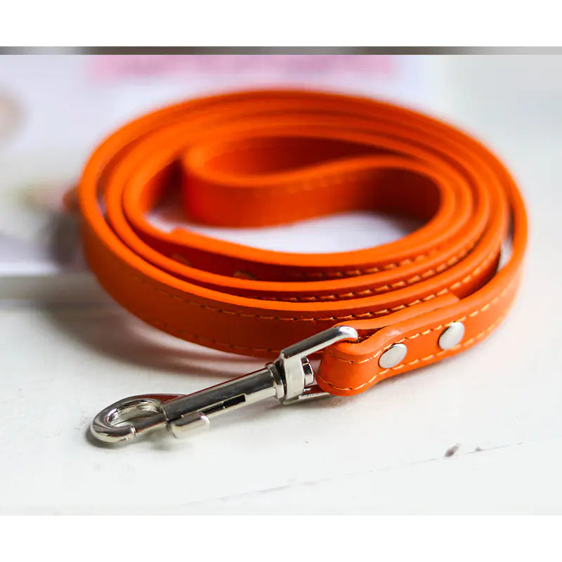 Colorful Leather Pet Collar