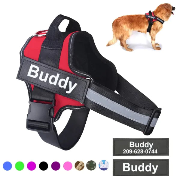 High-Vis Pet Safety Vest