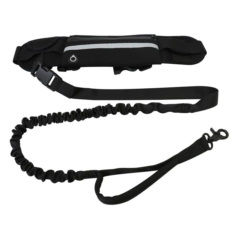 Chic Pet Pouch Leash