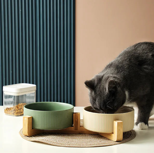 SureStay Pet Dish