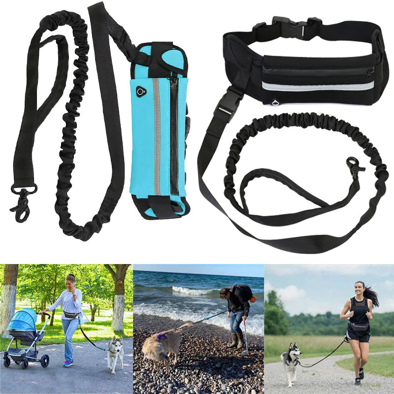 Chic Pet Pouch Leash