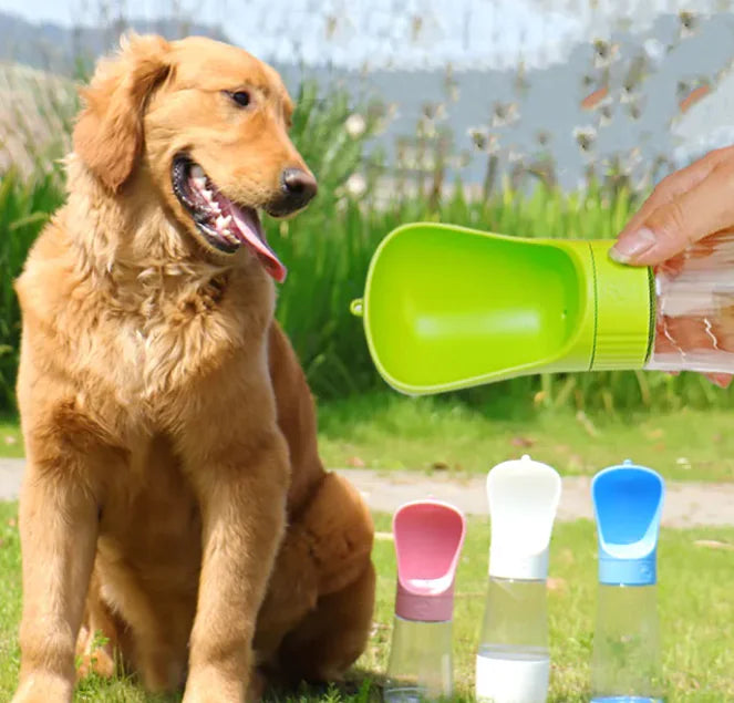 All-in-One Pet Hydration Cup