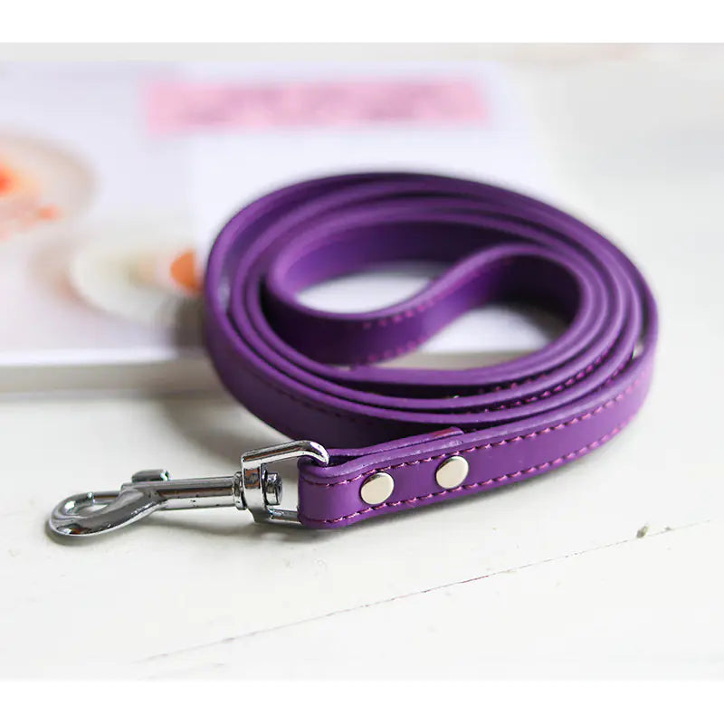 Colorful Leather Pet Collar