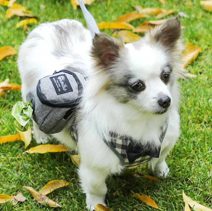 Chic Pet Travel Tote