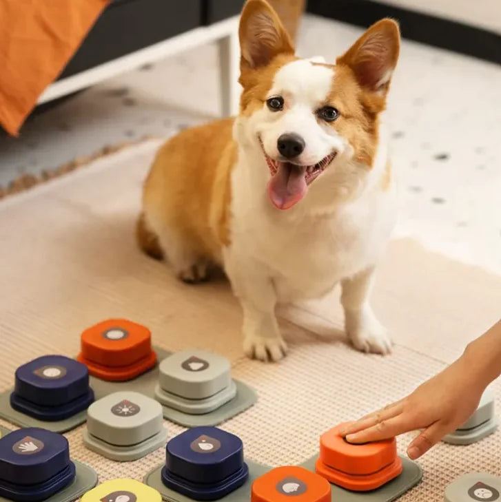 Pet Speak Button