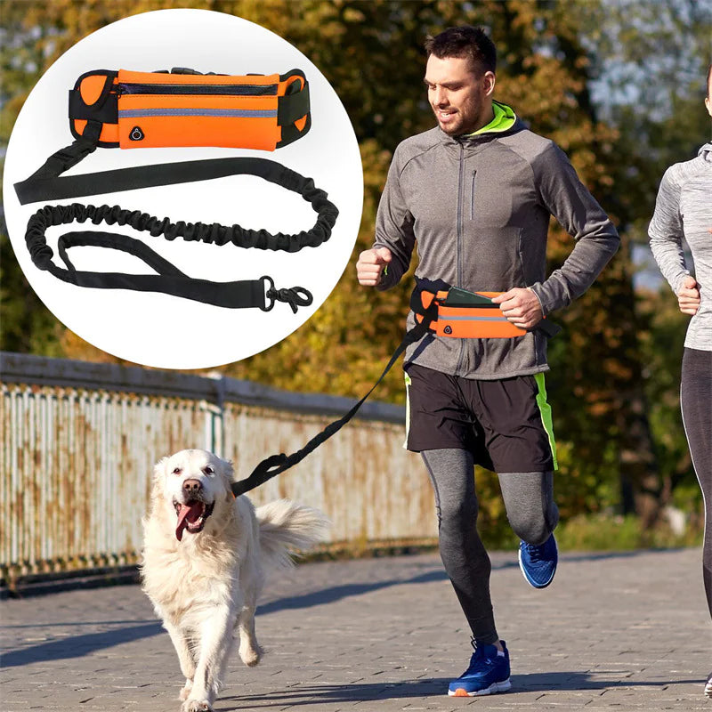 Chic Pet Pouch Leash