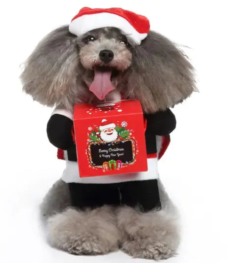 Pet Costumes