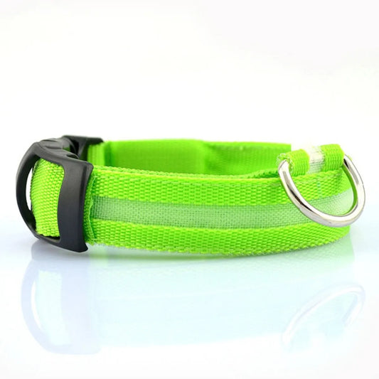Glowing Pet Guardian Collar