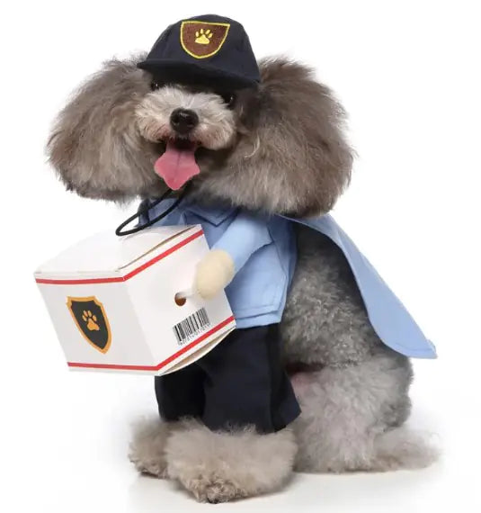 Pet Costumes