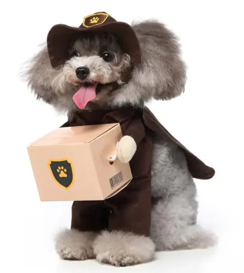 Pet Costumes
