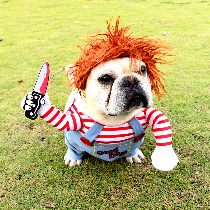 Spooky Pet Halloween Outfit