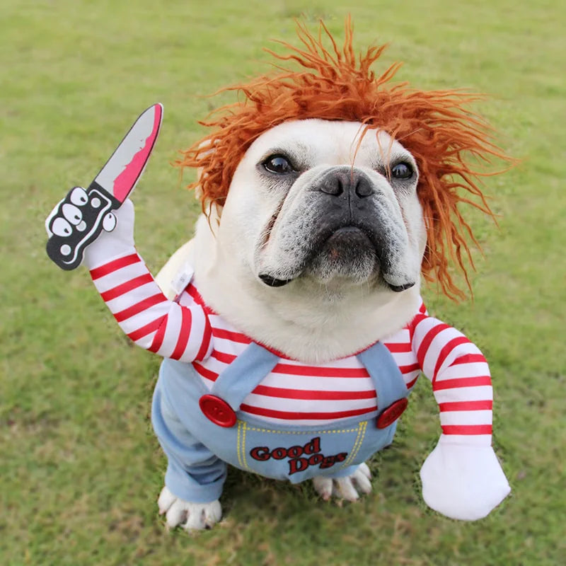 Spooky Pet Halloween Outfit