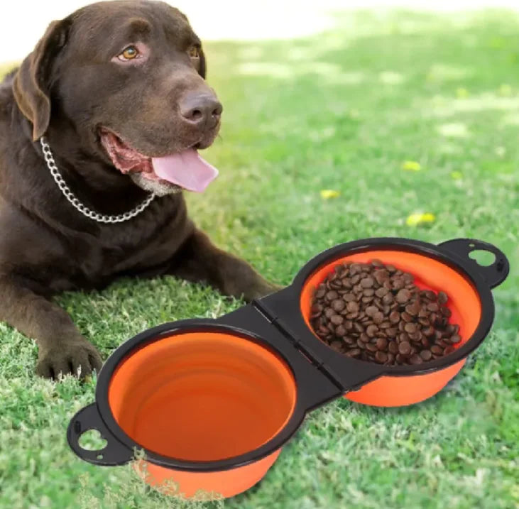 Travel Pup Bowl