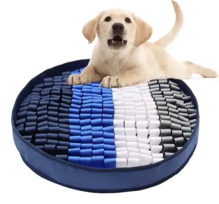 Sniff & Seek Pet Mat