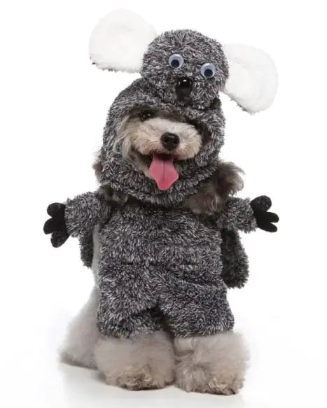 Pet Costumes