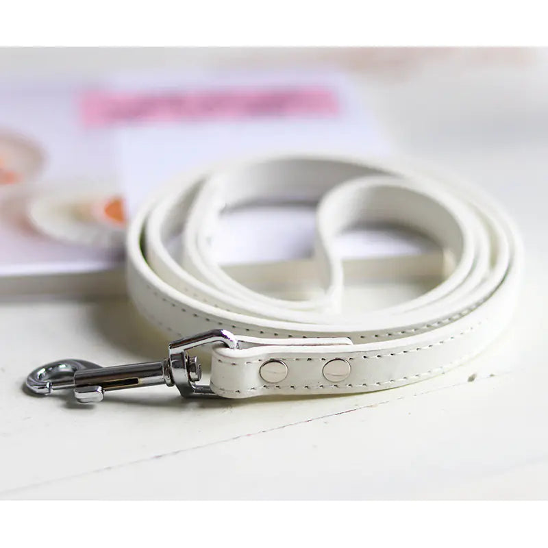 Colorful Leather Pet Collar