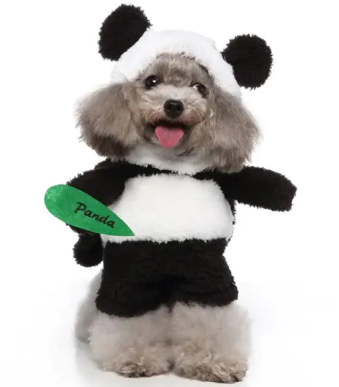 Pet Costumes