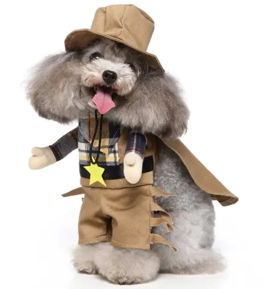 Pet Costumes