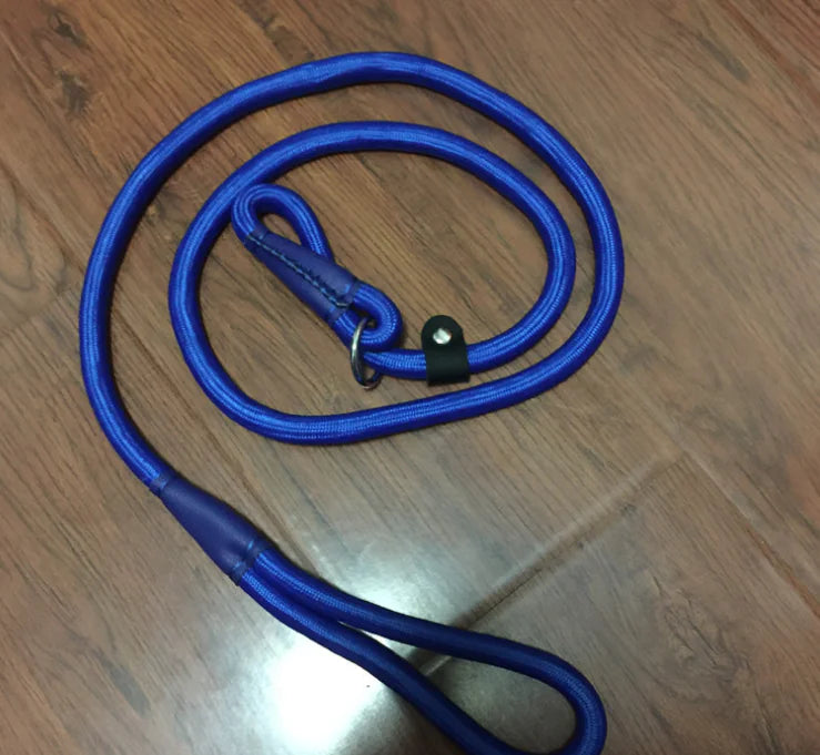 Premium Nylon Dog Leash