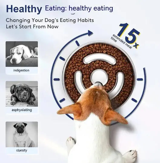 Healthy Pace Pet Bowl