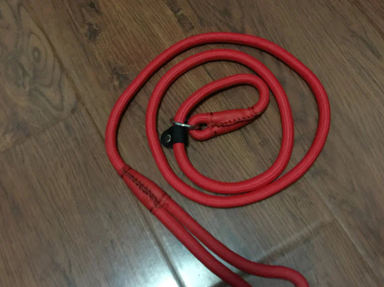 Premium Nylon Dog Leash