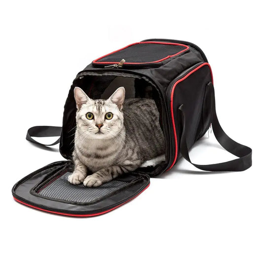 Travel-Ready Pet Tote