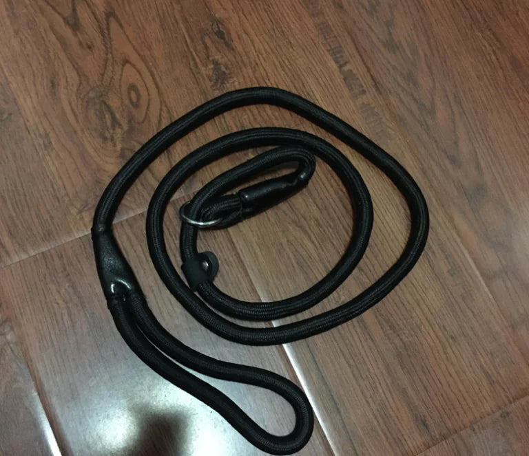 Premium Nylon Dog Leash