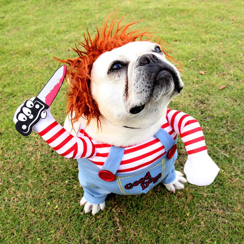 Spooky Pet Halloween Outfit