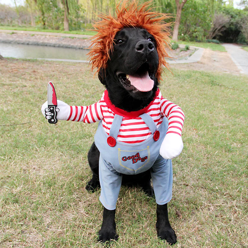 Spooky Pet Halloween Outfit