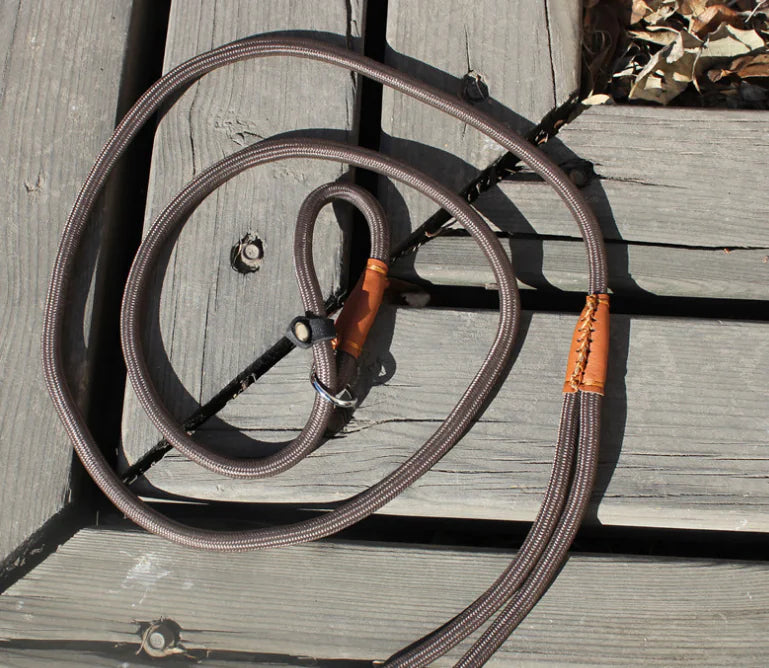 Premium Nylon Dog Leash