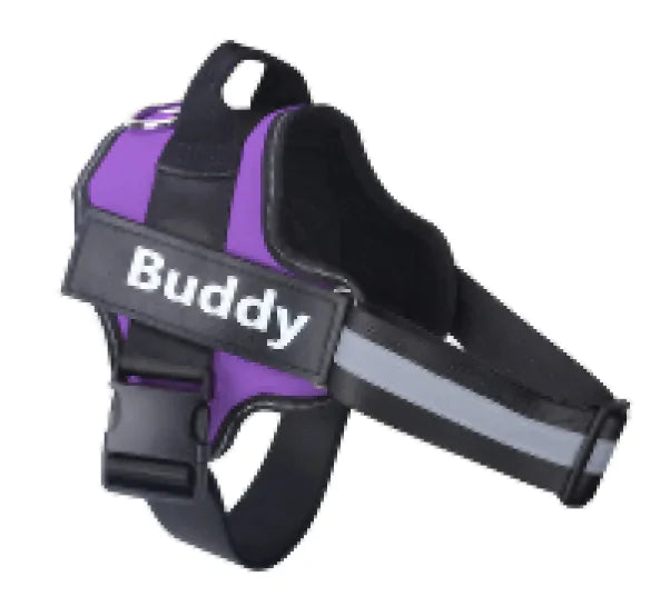High-Vis Pet Safety Vest