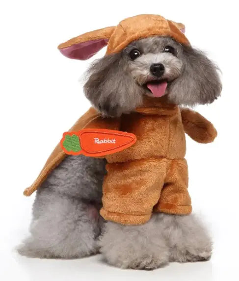 Pet Costumes